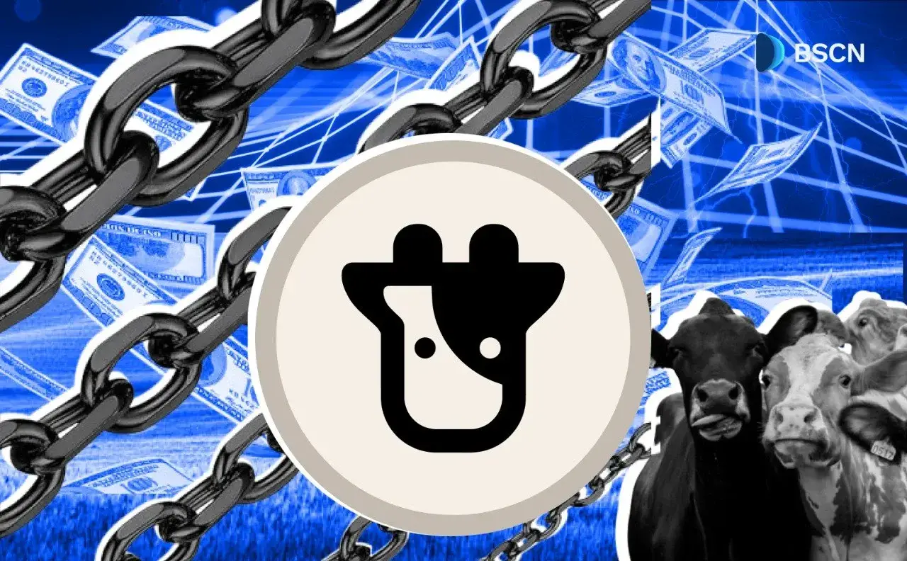 chain