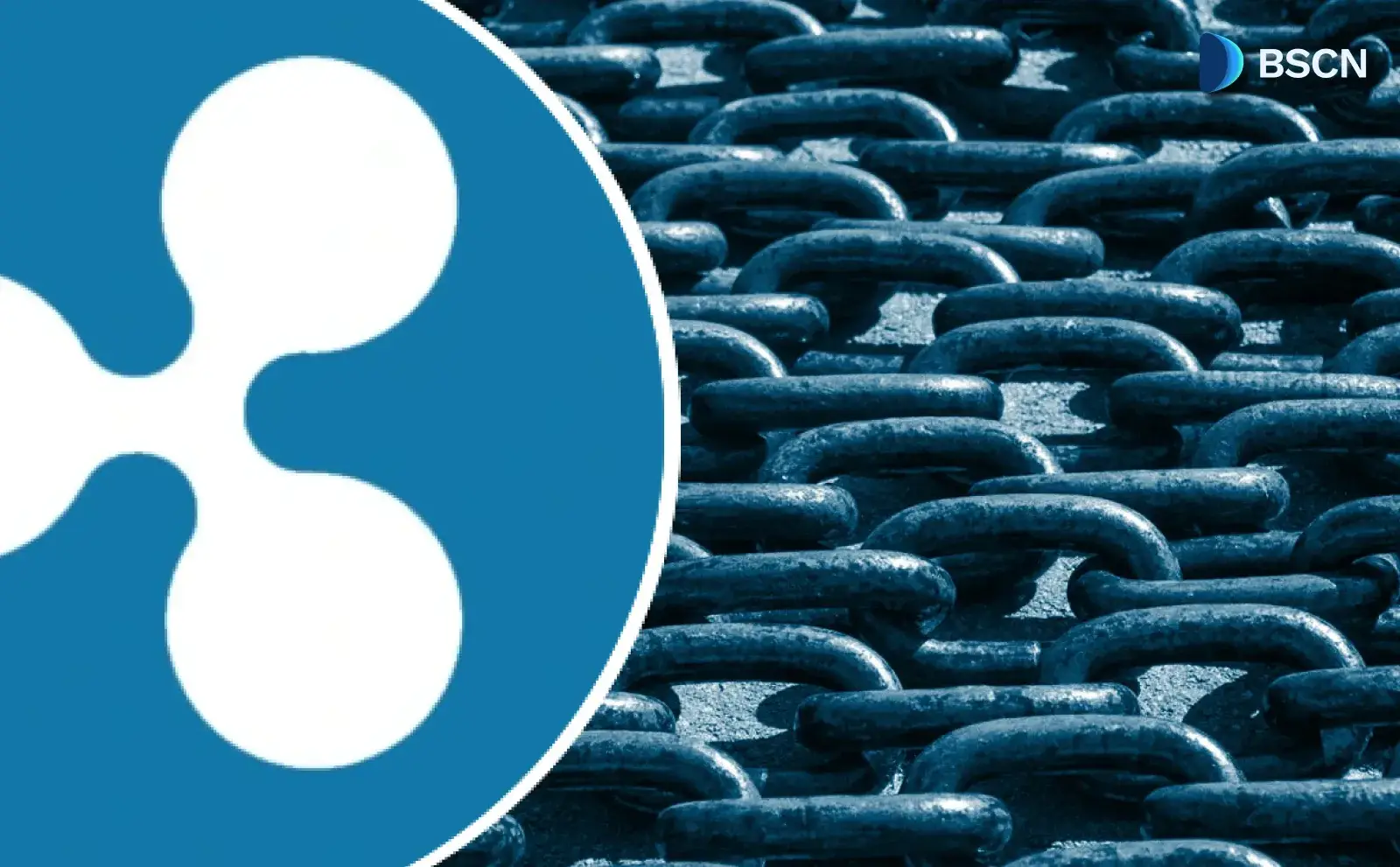 Ripple's XRP Ledger Enables Permissioned Domains with 91% Approval