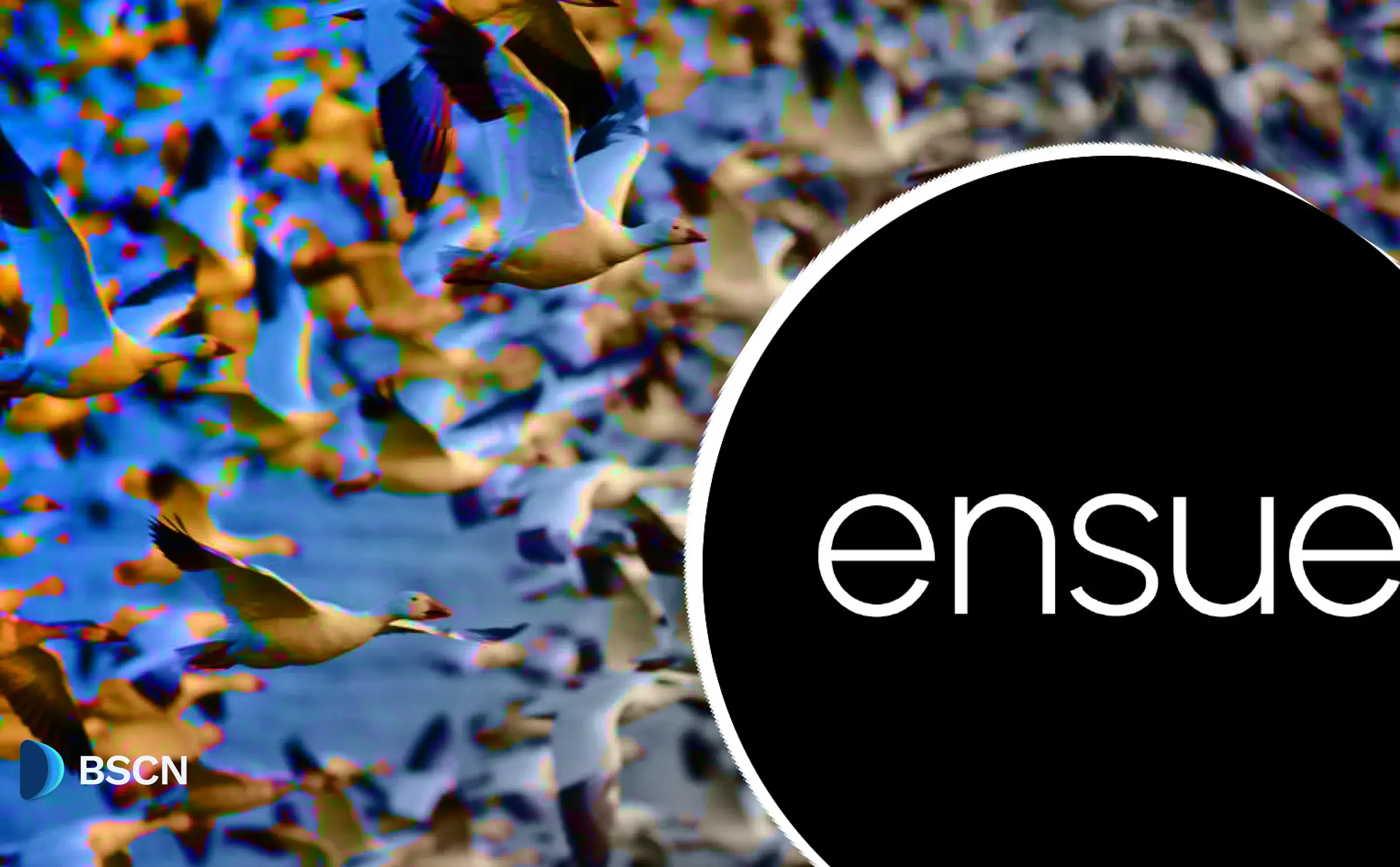 Ensue Emerges: The First Shared Memory Layer for AI Agents