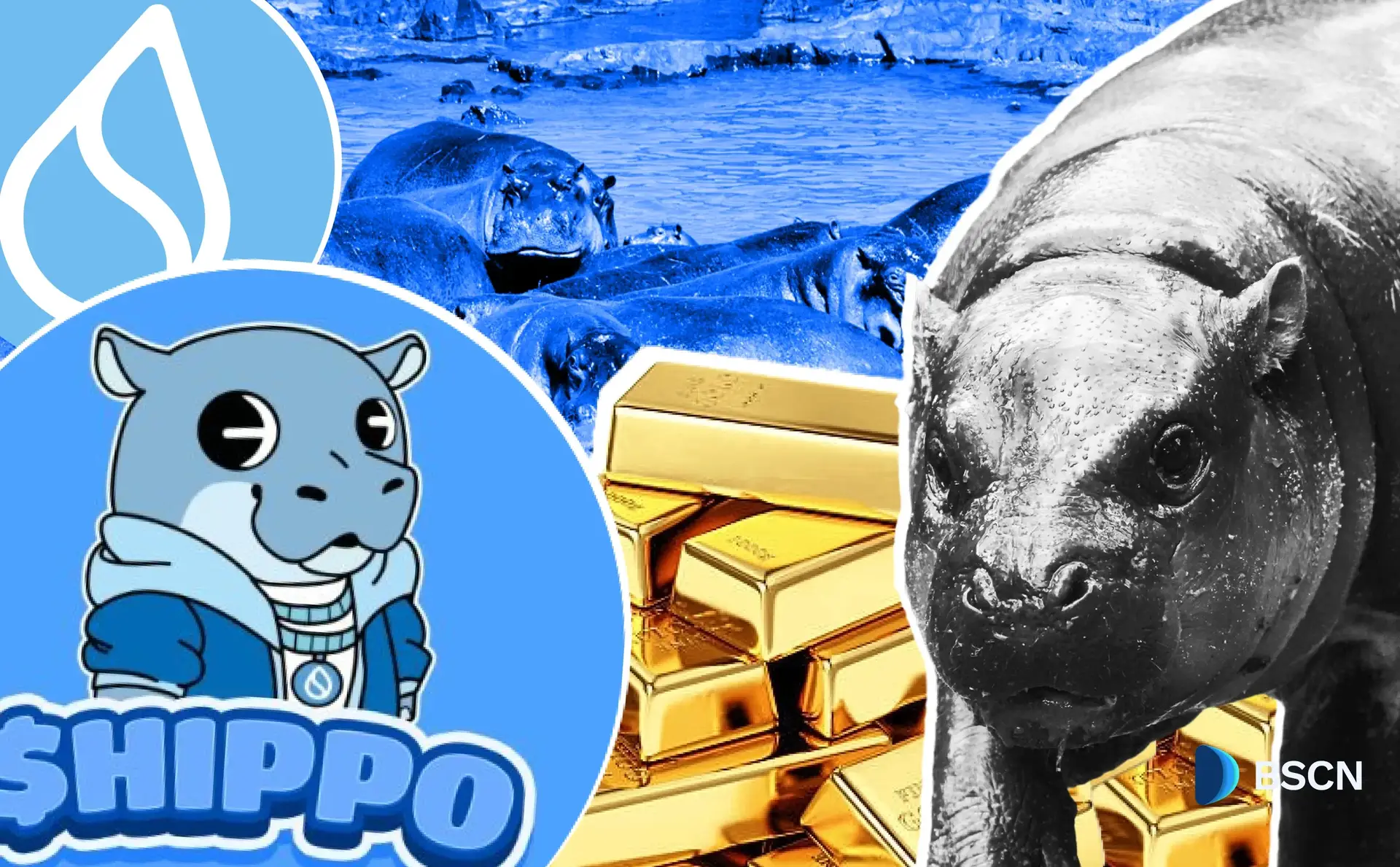 Unpacking Sudeng ($HIPPO): A Closer Look at the Sui-Based Memecoin