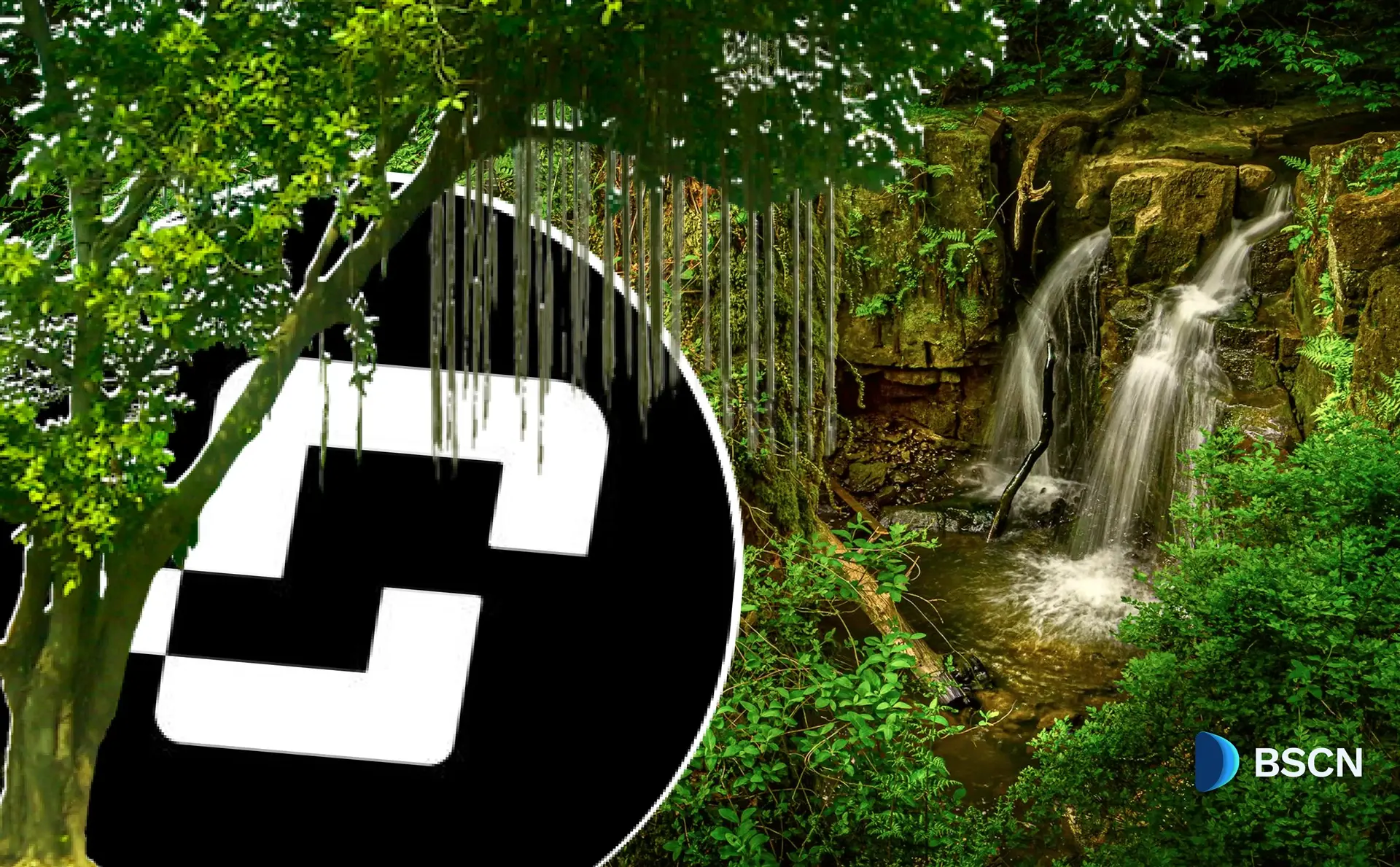 Inside Celia: Building a Global Web3 Ecosystem