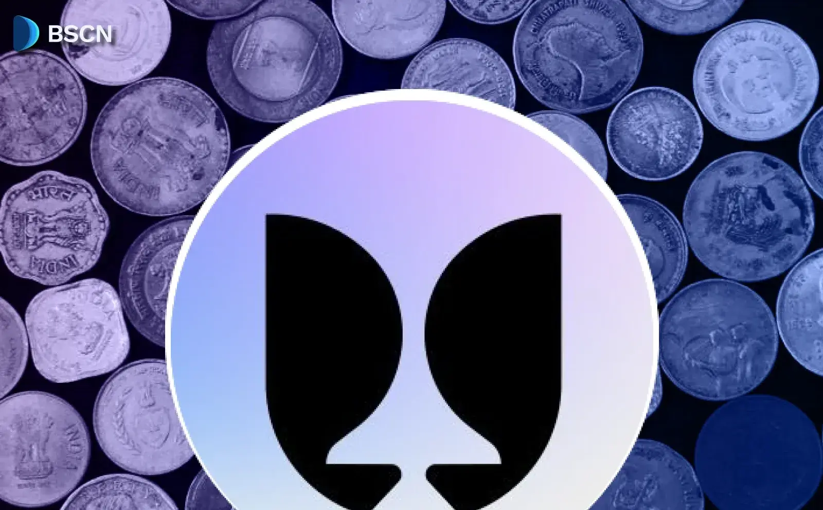 FlyingTulip Prepares for TGE After Successful CoinList Sale