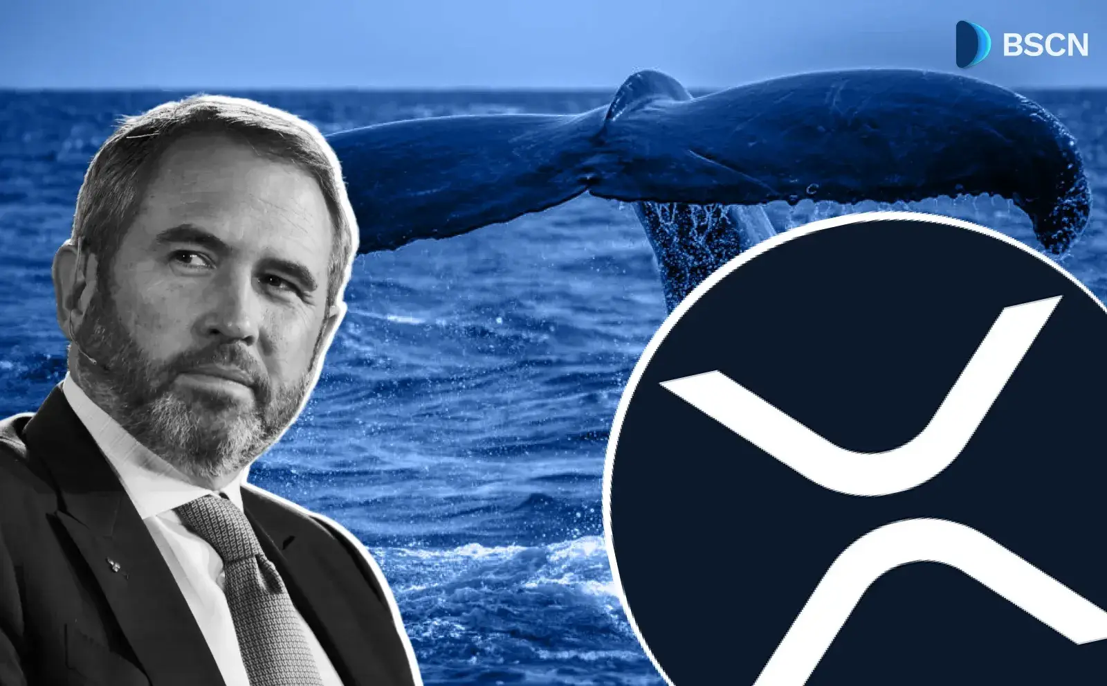 XRP Whales Accumulate Over 4 Billion Tokens as Price Slumps