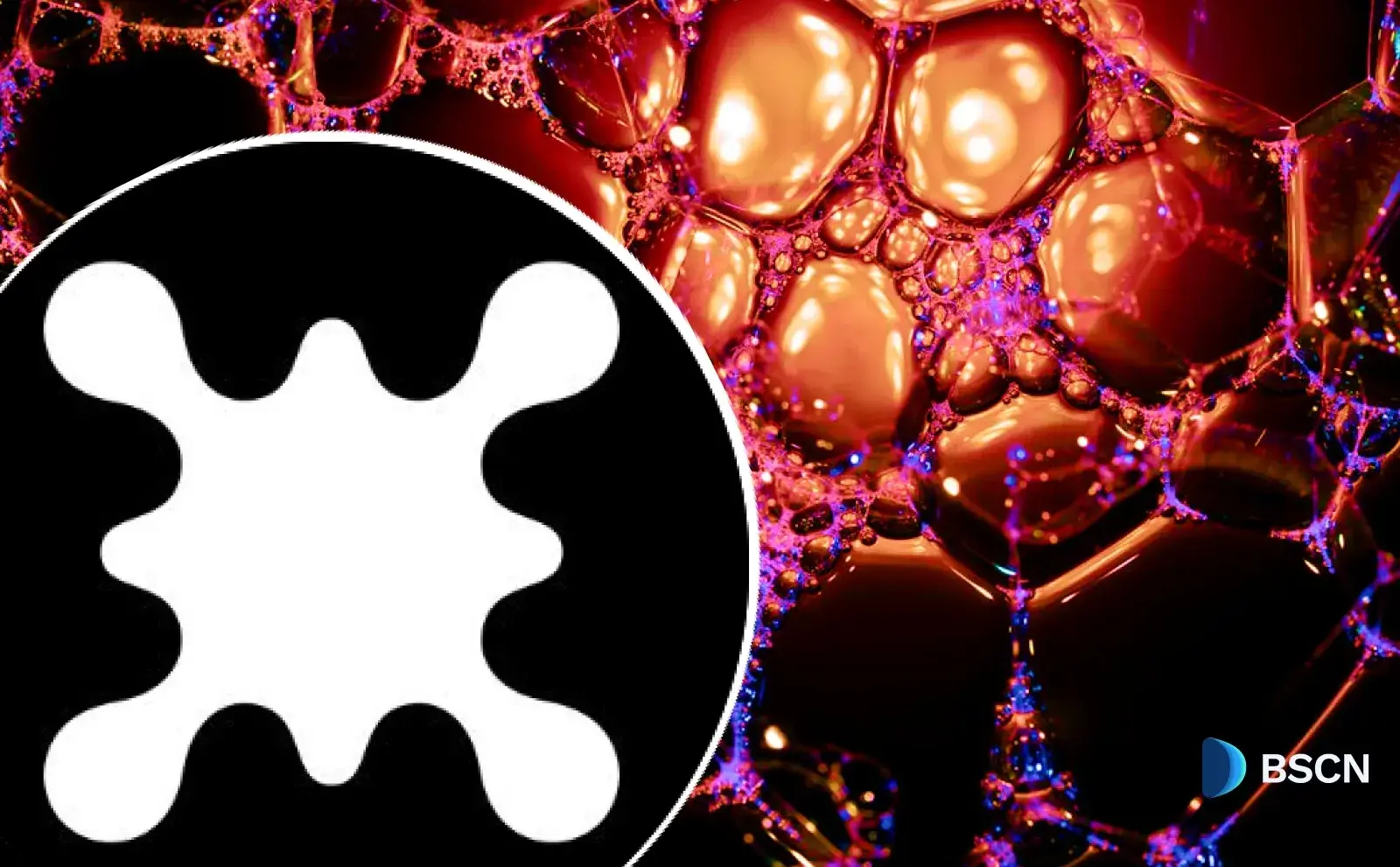 Latest Bio Protocol News: Exchange Listing & Launchpad