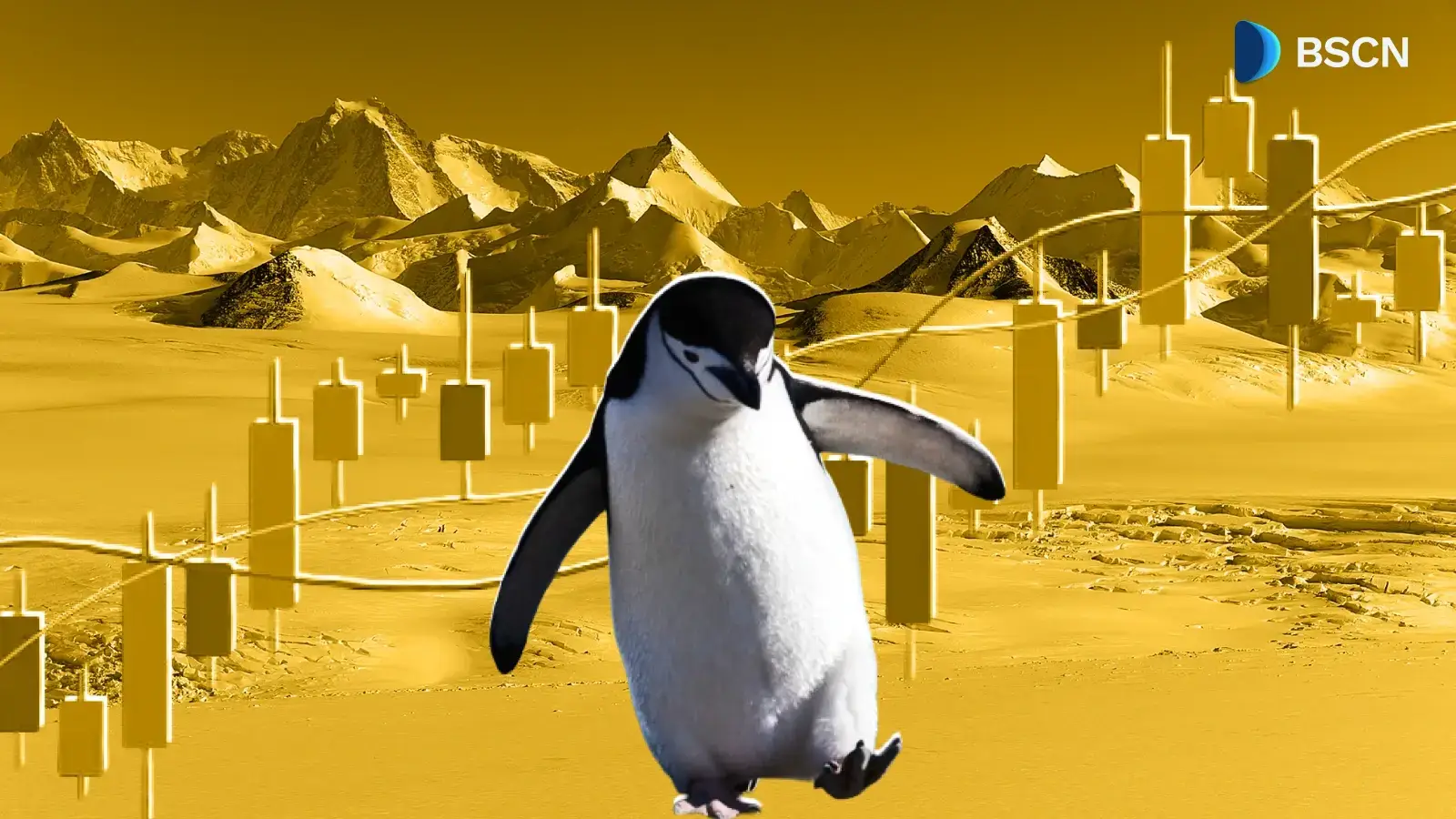 What's All The Buzz About PENGUIN Surge