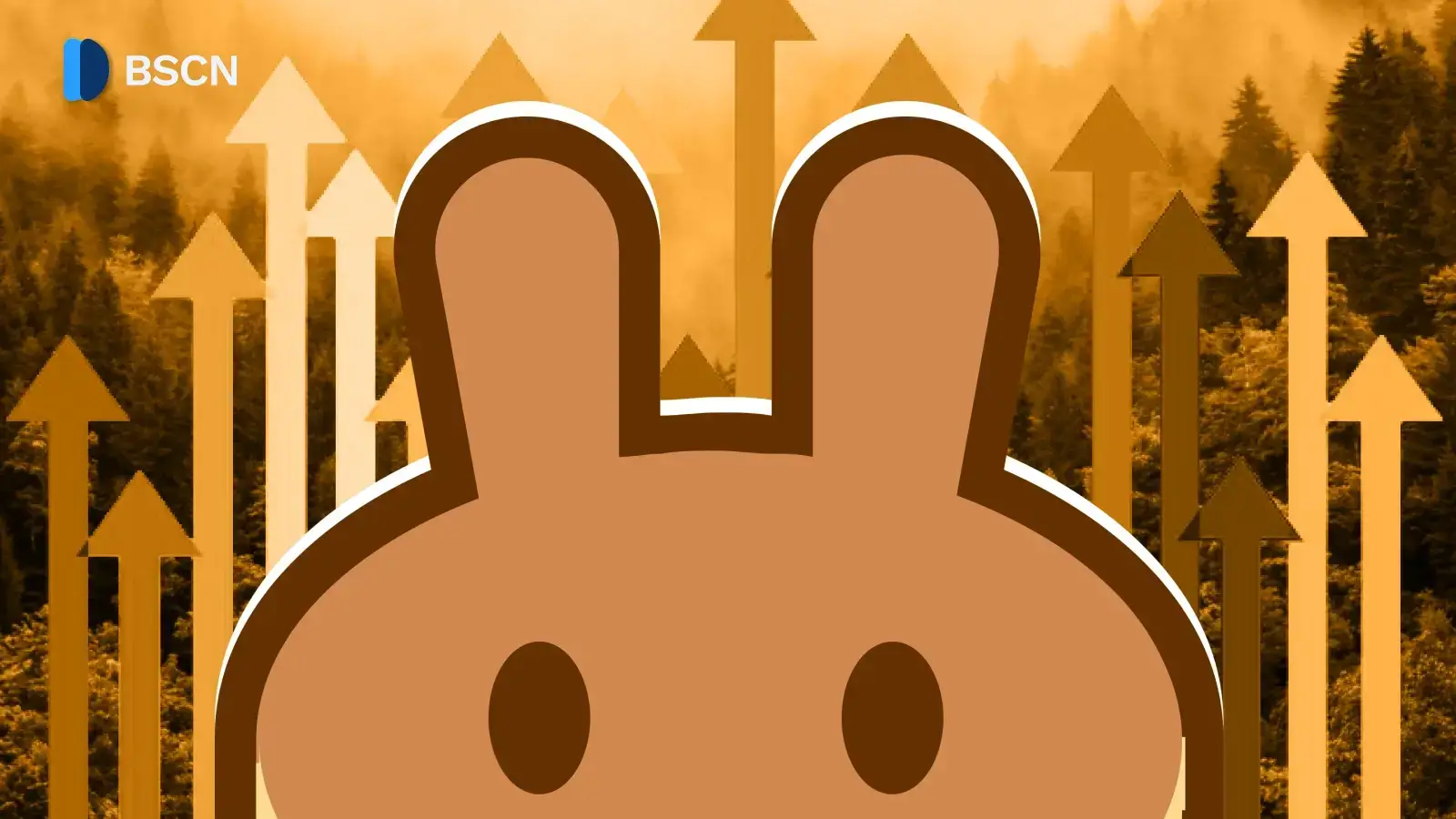 PancakeSwap in 2025: Memecoins, Stablecoins, Stock Perps & More