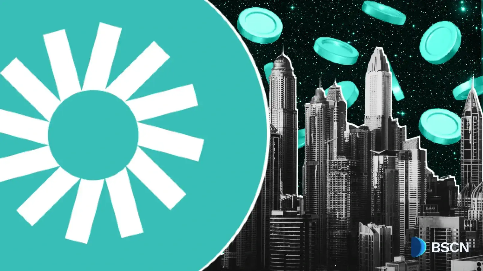 What Is Plume’s Nest Product? A Full Guide to How It Works