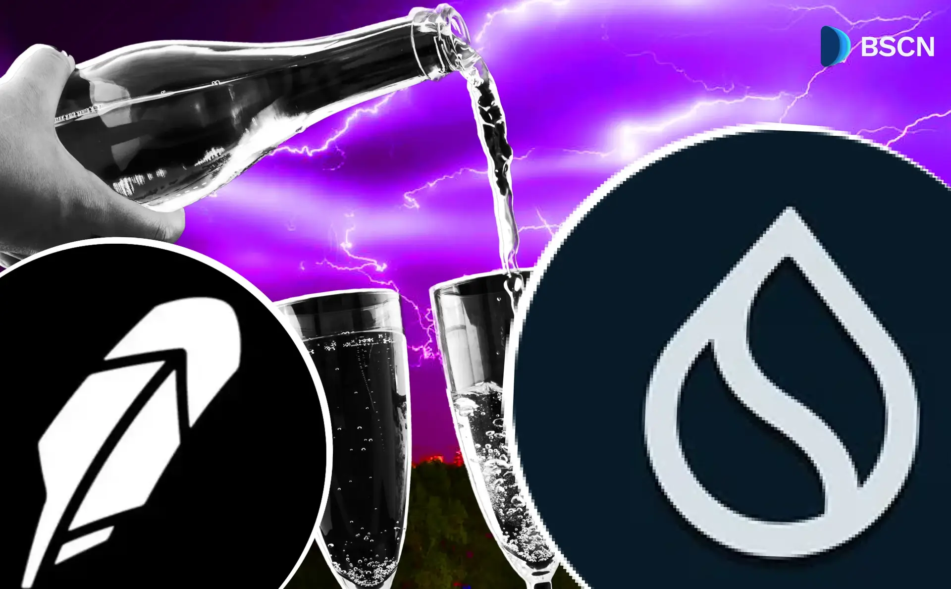 Sui Network's Bullish 2025: The News You Probably Missed